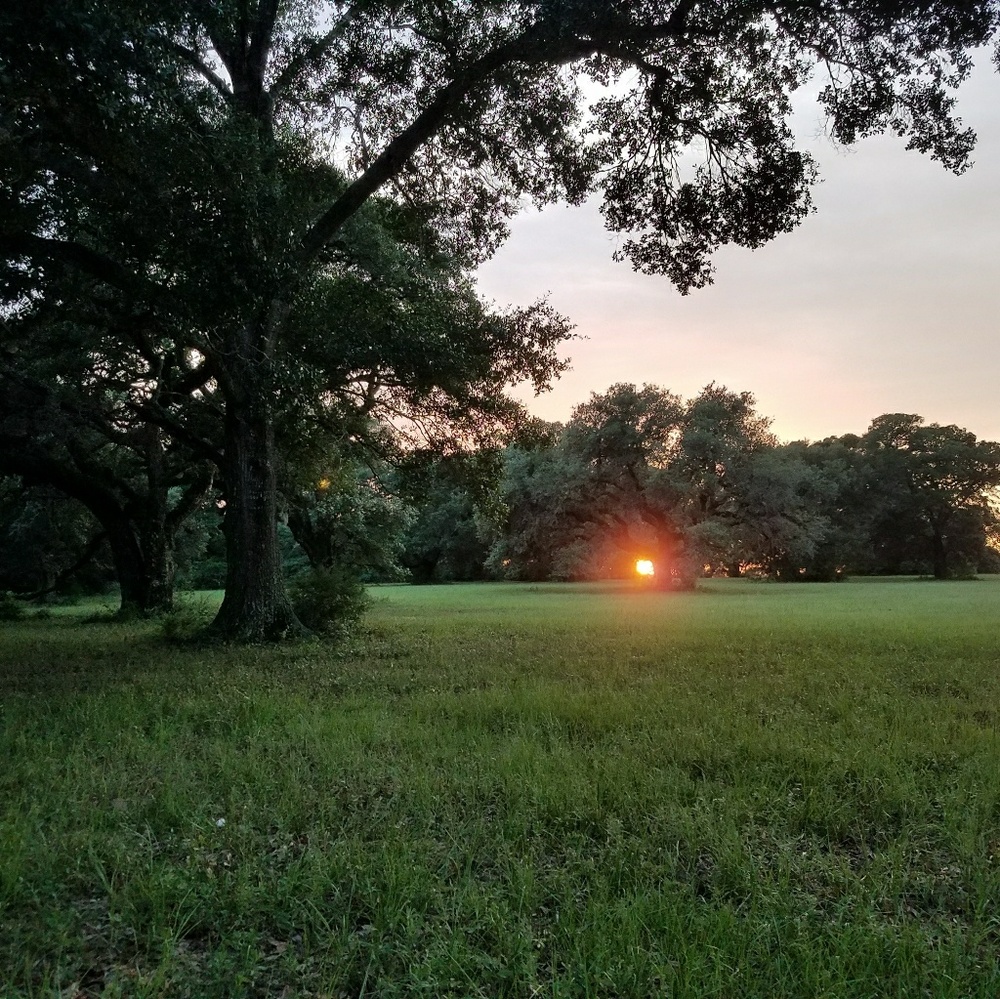 Meet your Posher, Vigi